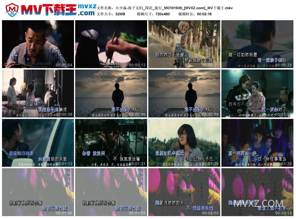小少焱-浪子无归_国语_流行_MD101939